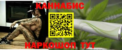 трава Гатчина