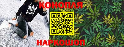 трава Гатчина