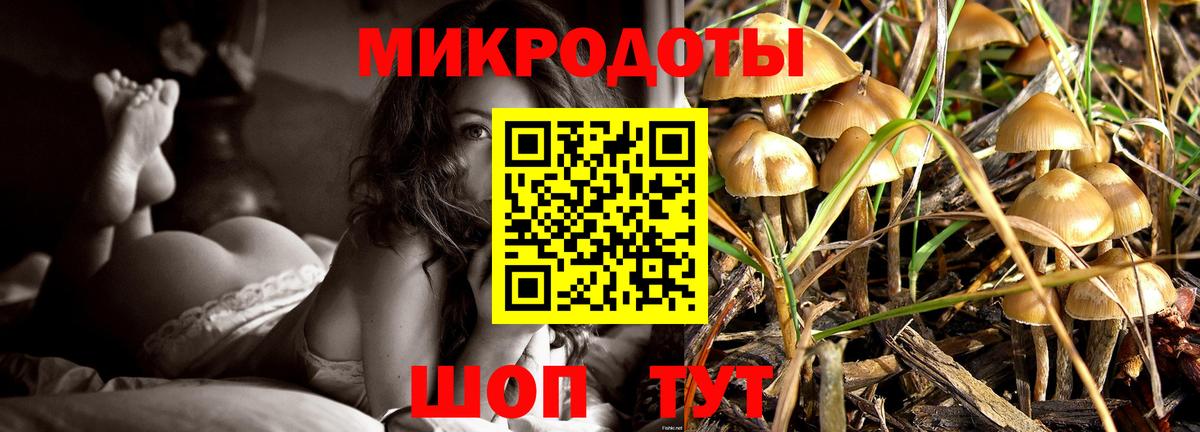 Псилоцибиновые грибы мухоморы  Псилоцибиновые грибы мухоморы  Саров  Вход с VPN 